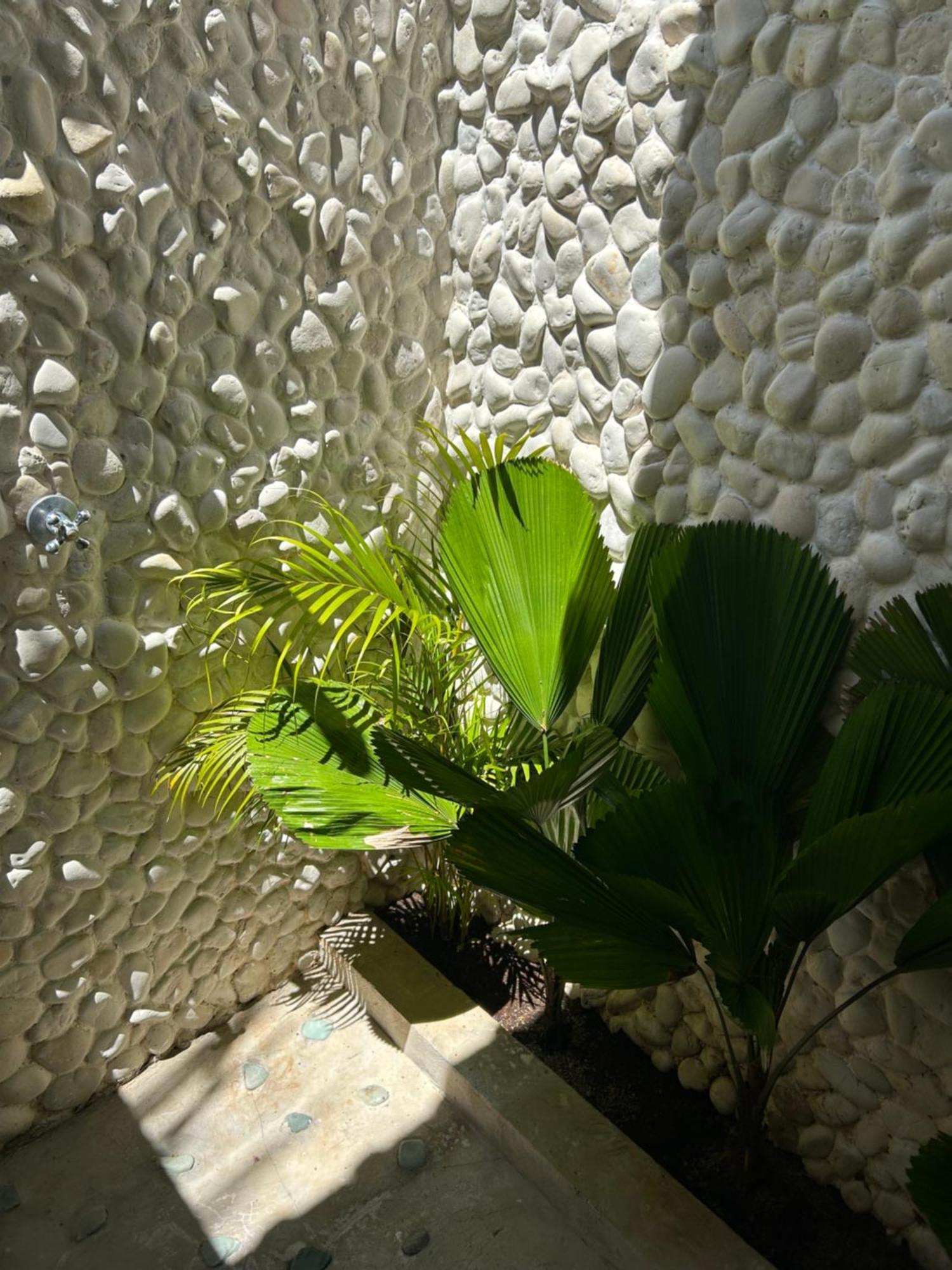 La Kreyiol Bed & Breakfast 2*