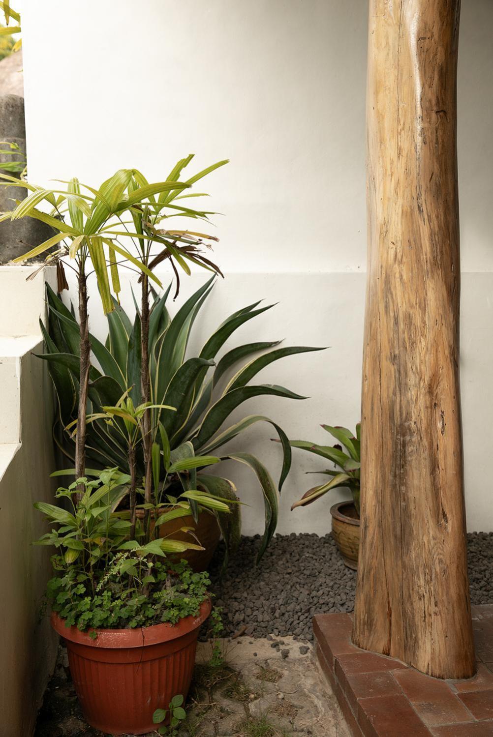 La Kreyiol 2* Uluwatu (Bali)
